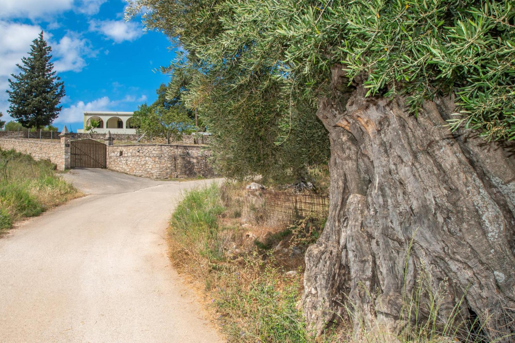 Leandros Private House Near Shipwreck Beach By "Elite" Maries  Kültér fotó